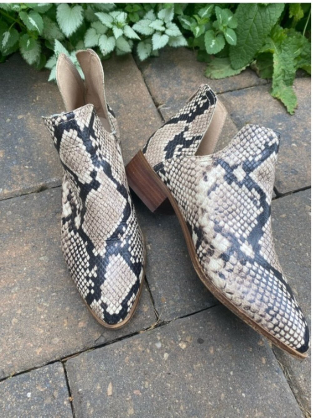 Aldo Snake Print Embossed Leather Ankle Booties Block Heel, 8 Summer Sale